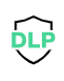 DLP SALIENTE Y PROTECCION DE SEGURIDAD