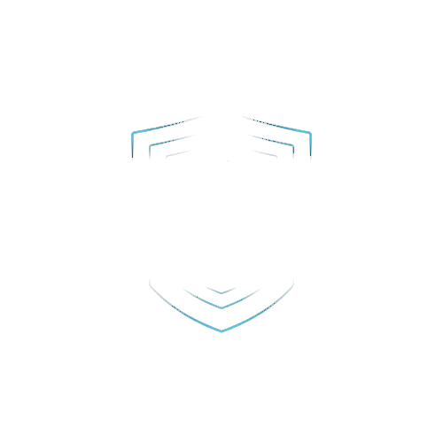 análisis de vulnerabilidades y ethical hacking